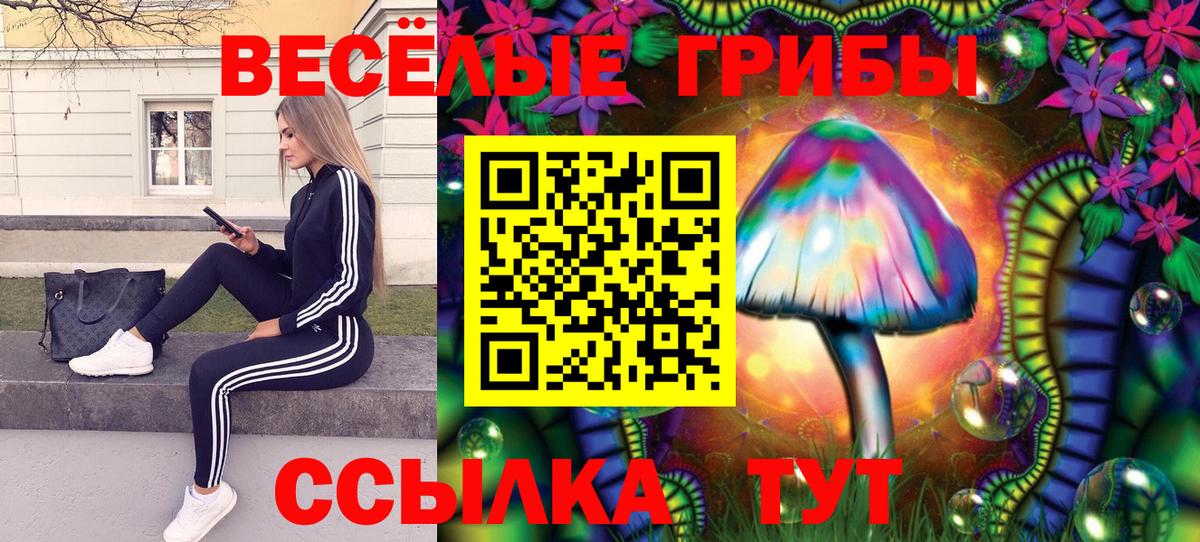 Галлюциногенные грибы прущие грибы  Вход с VPN  Прокопьевск 